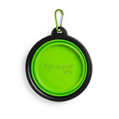 zielona miska dla psa składana z karabińczykiem