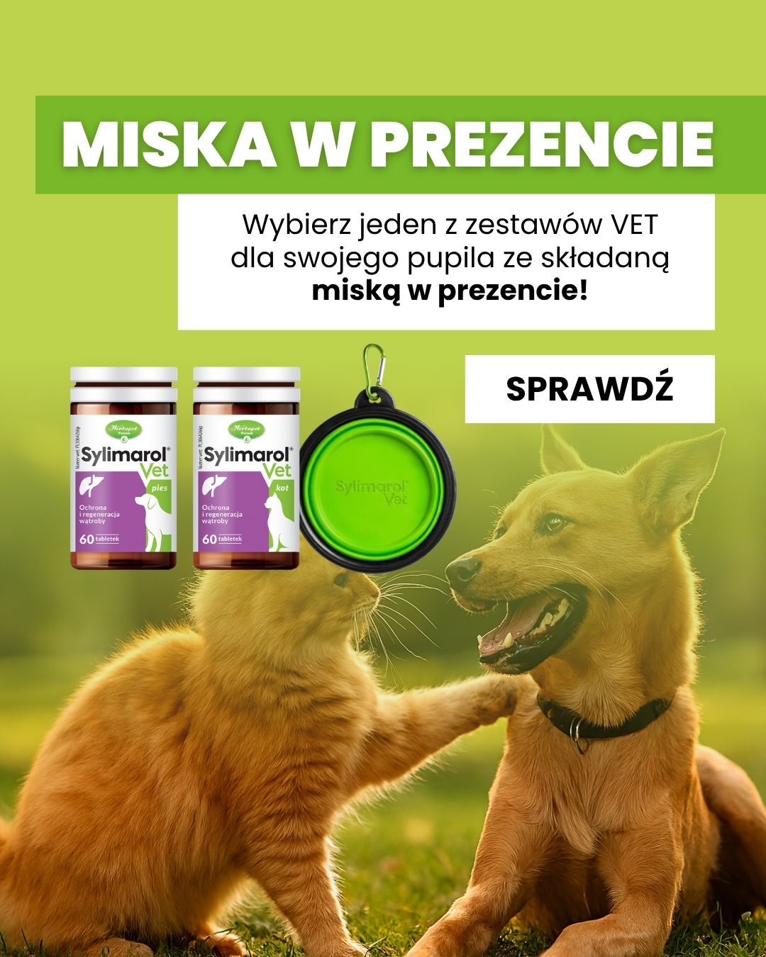 Zestawy sylimarol dla psa i kota z miską gratis